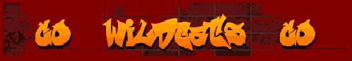 banner.jpg