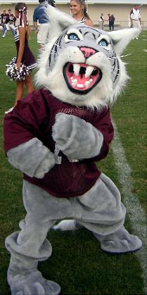 callisburgmascot.jpg
