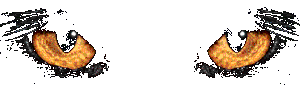 cateyes.gif